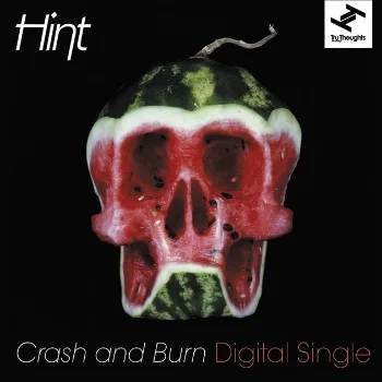 78. HINT - 'Crash & Burn' feat Natalie Storm (The Bamboos Remix) Tru Thoughts DIGITAL SINGLE TRUDD040 (Tru Thoughts) UK 2012