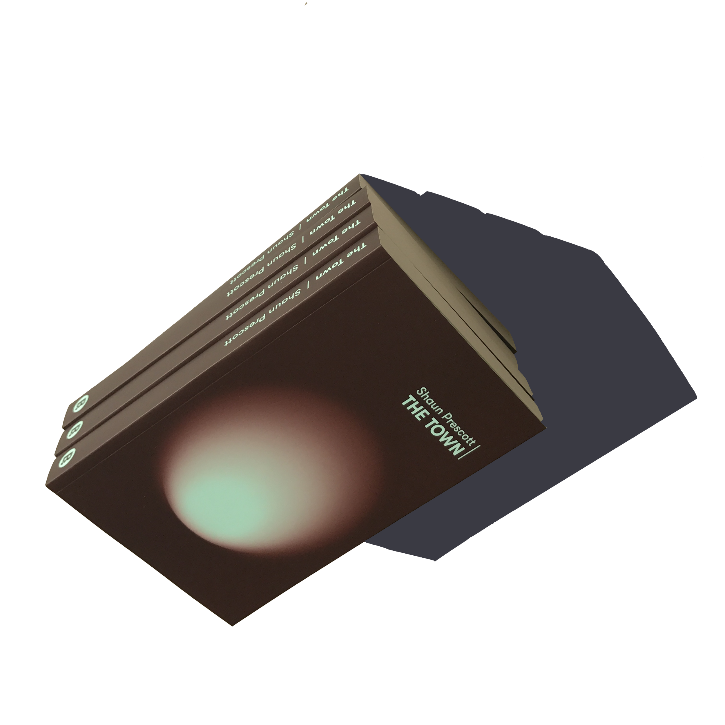 Out now:  The Town  by Shaun Prescott