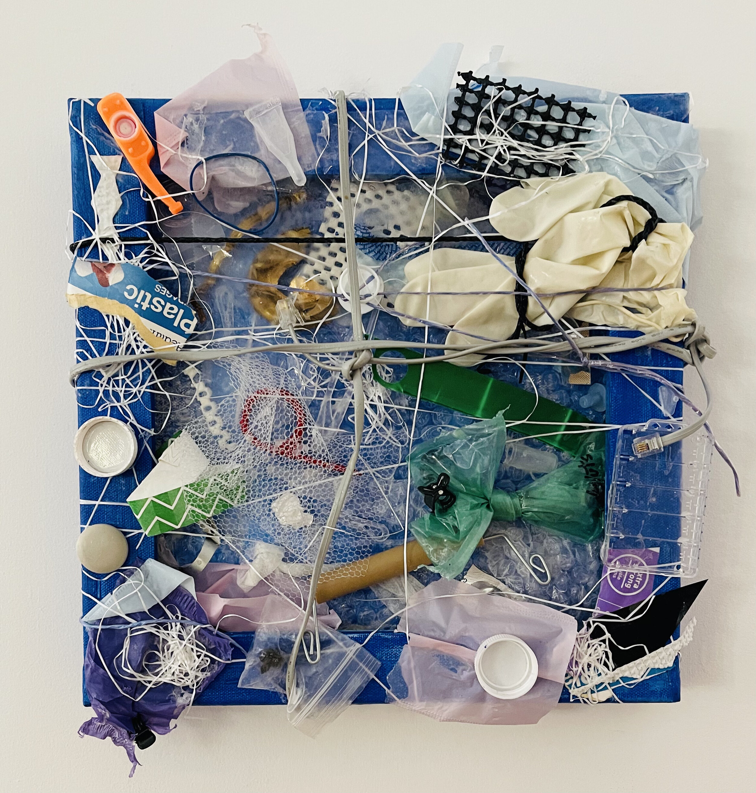 I’m focusing attention on our obsession with single use plastics leading to an alarming impact on the environment and marine and wildlife.
