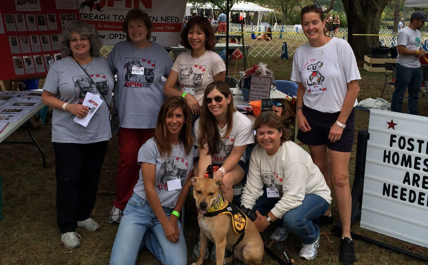 foster-needed.jpg