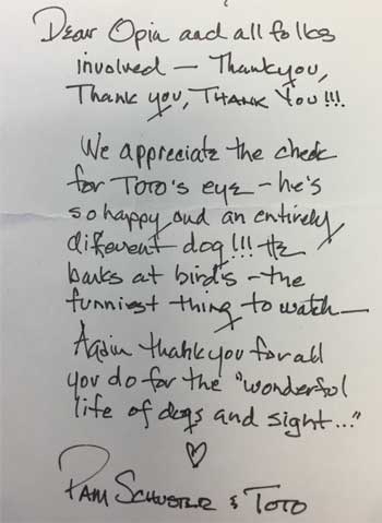 Dear OPIN and all folks involved - Thank you, Thank you, Thank you !!! We appreciate the check for Toto's eye - he's so happy and an entirely different dog!!! He barks at birds - the funniest thing to watch. Again thank you for all you do for the "wonderful life of dogs and sight" X Pam Schuster & Toto