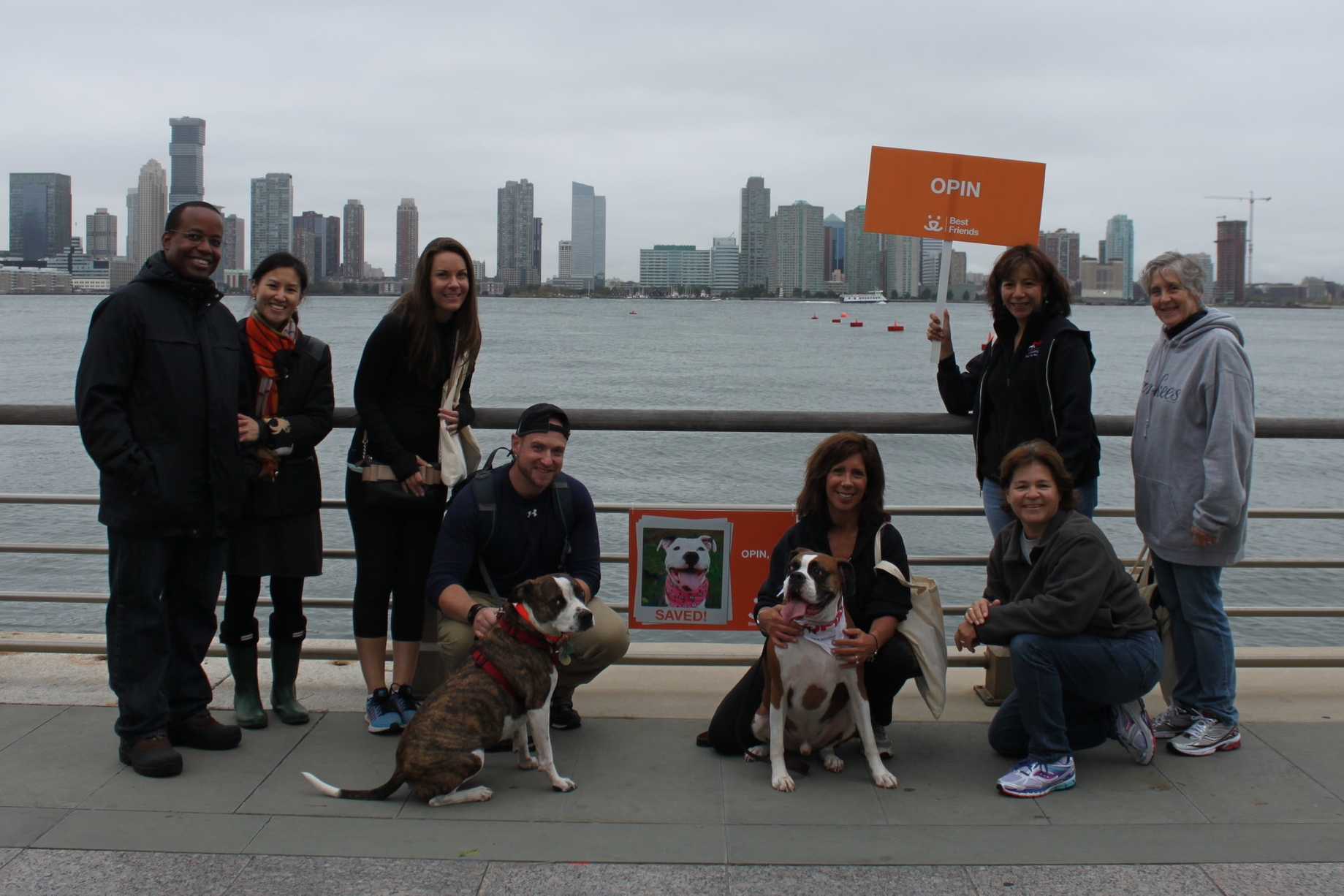 Team OPIN at Strut Your Mutt 2016