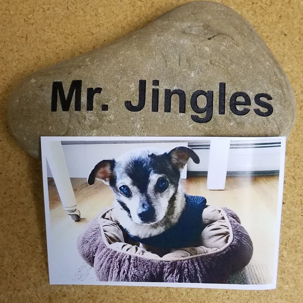 mr-jingles-rock-600.jpg