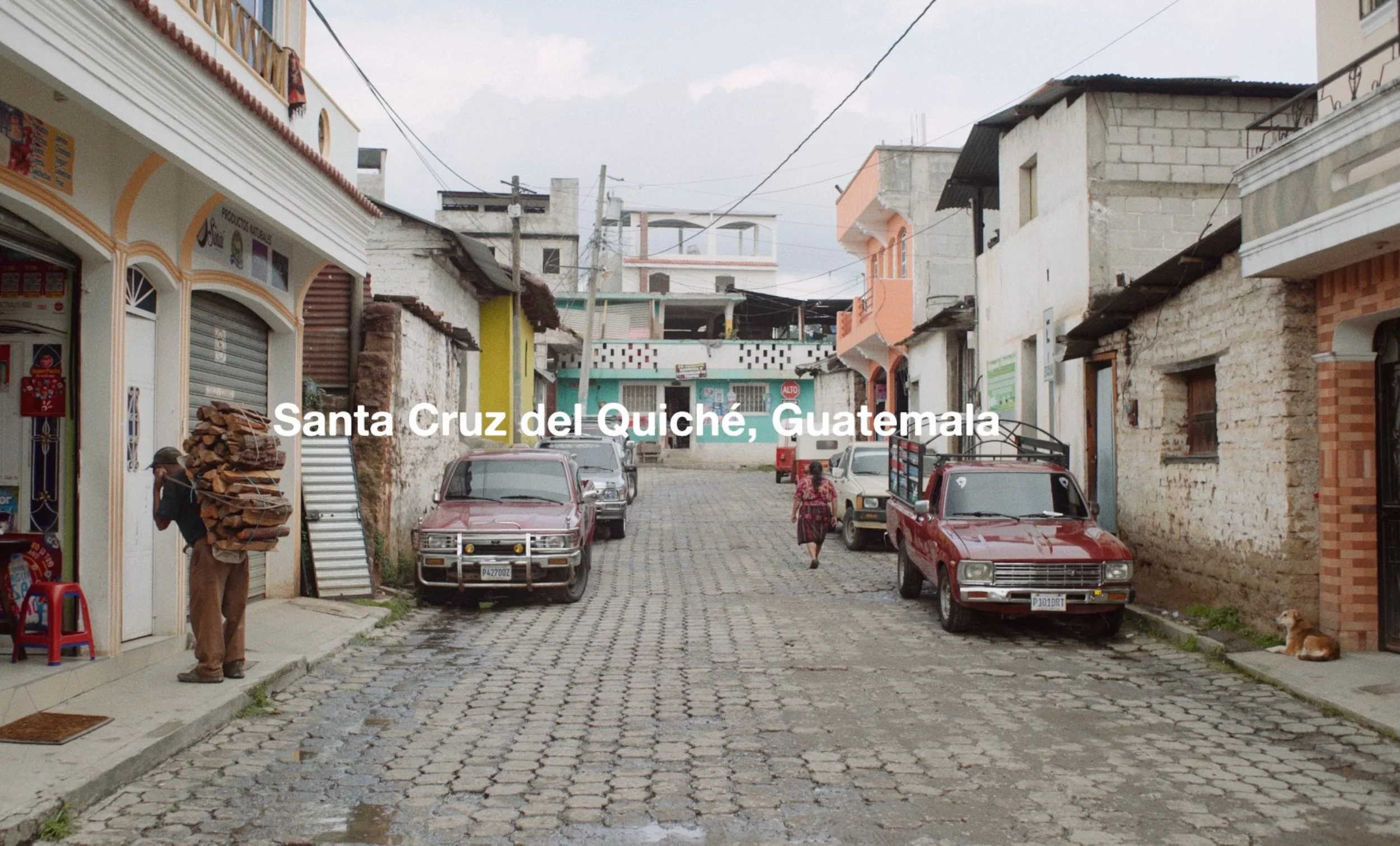 ASNY Video Gallary, Start-02, Screenshot 2025-05-23 at 12.29.45 PM.jpeg