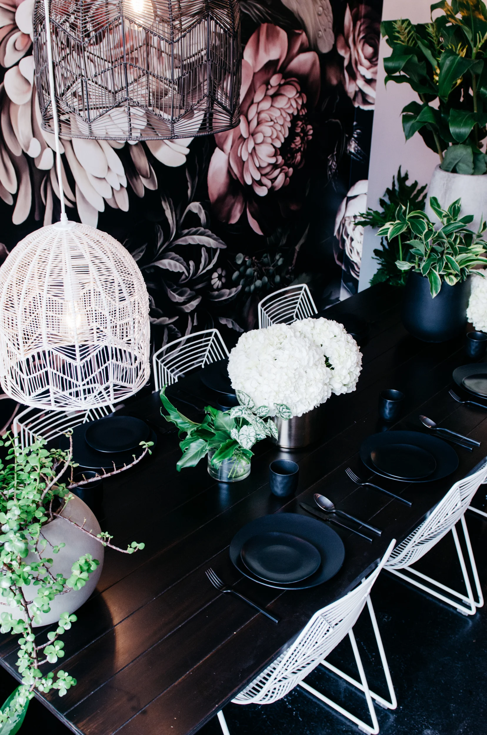 The Botanist photoshoot captured by The Desert Rose Co