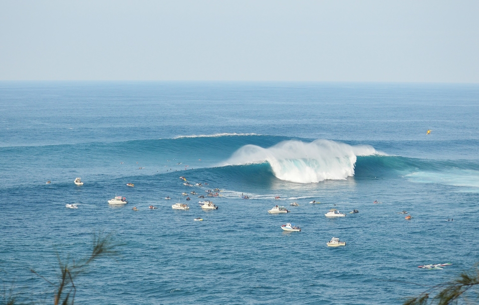 Jaws lineup