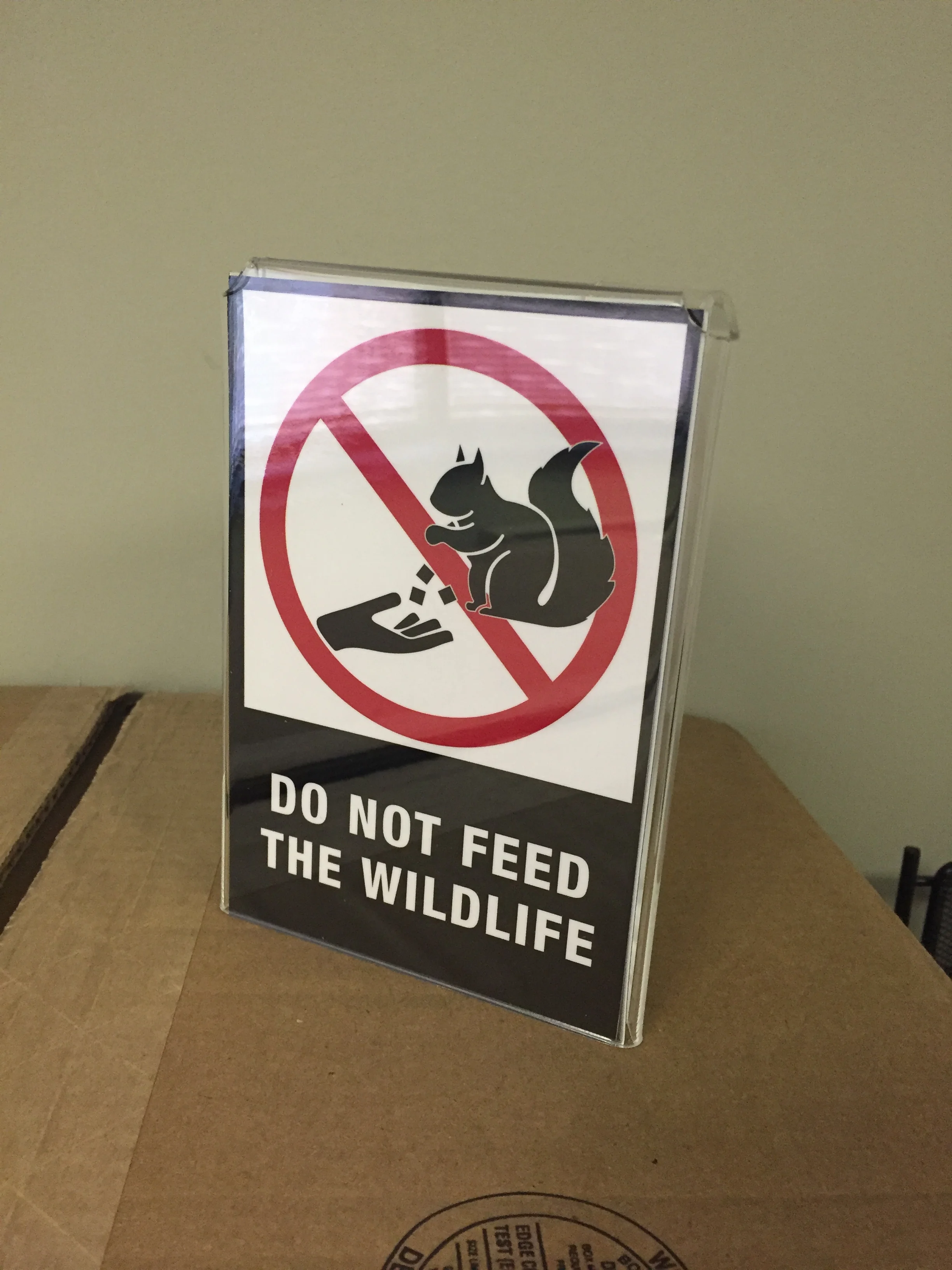 2018-09-12 09.12.52.jpg