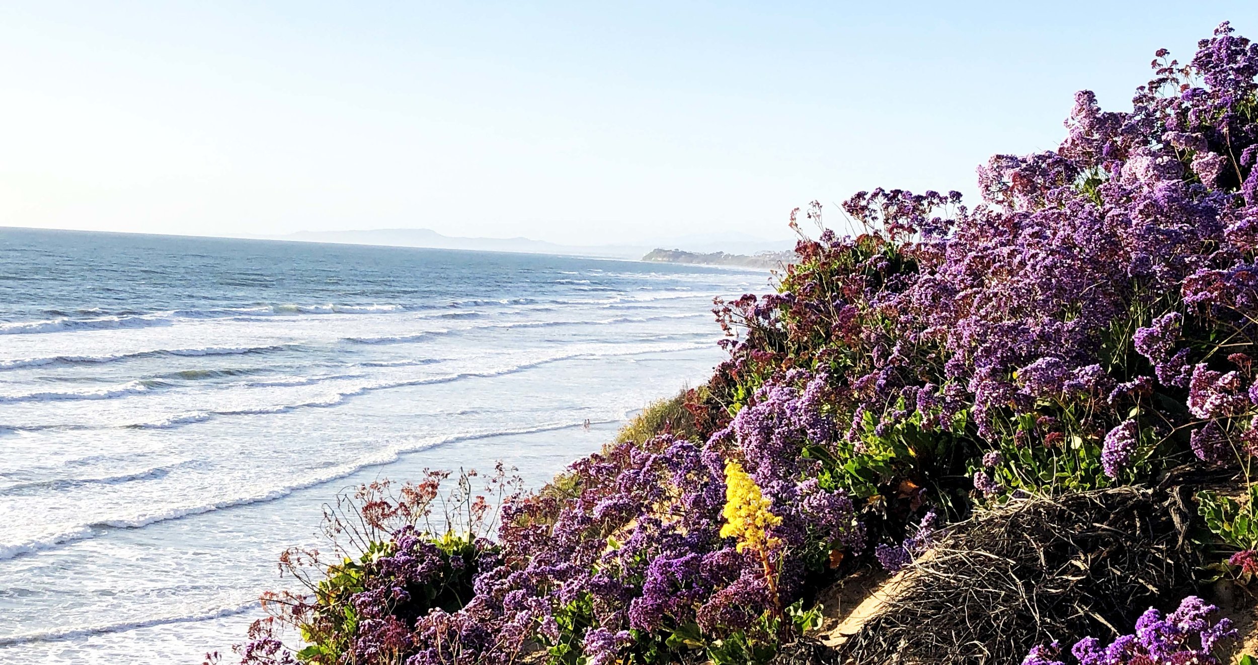 2019-04-10 18.10.56.jpg