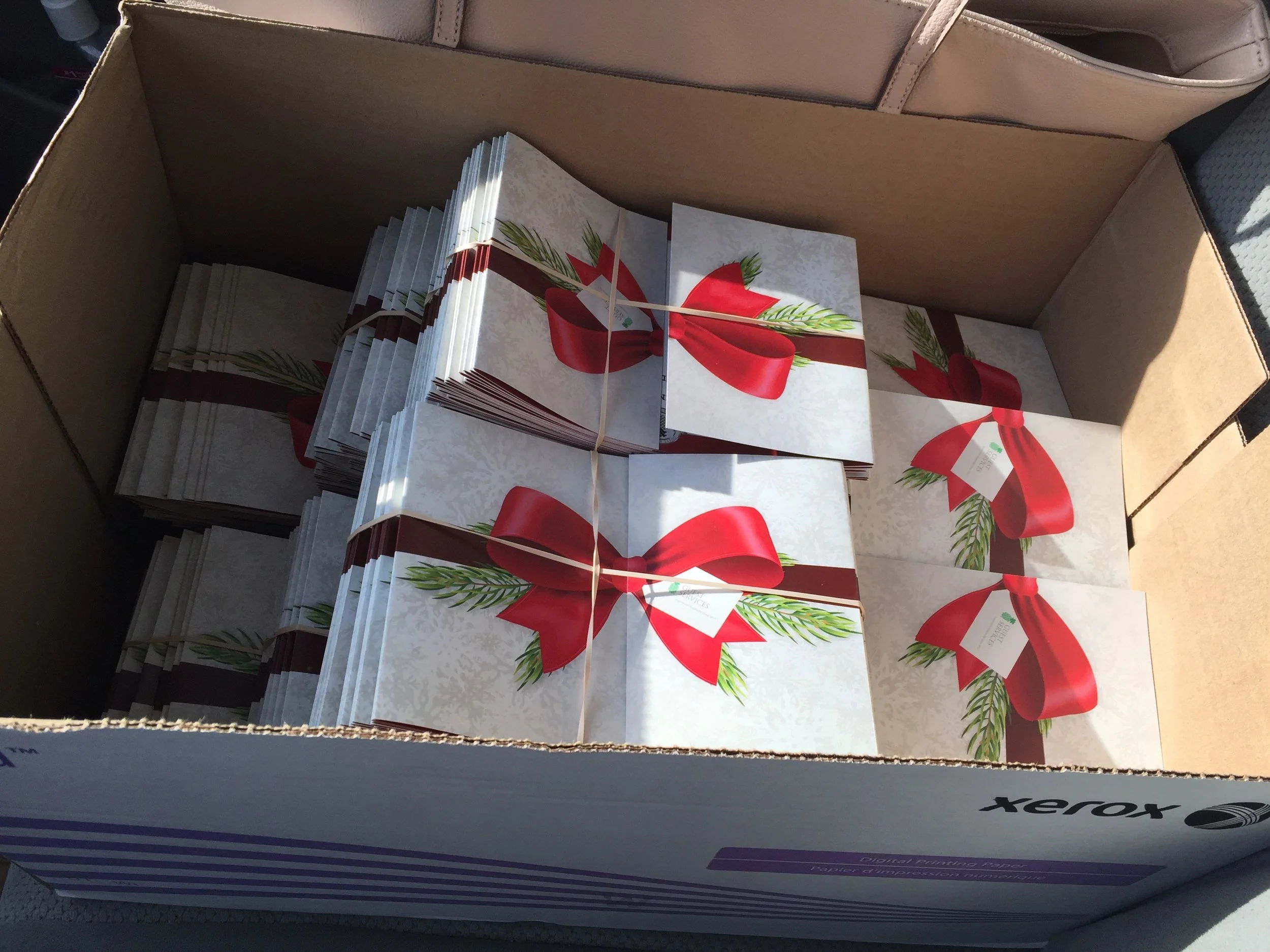 2017-12-04 12.26.48.jpg