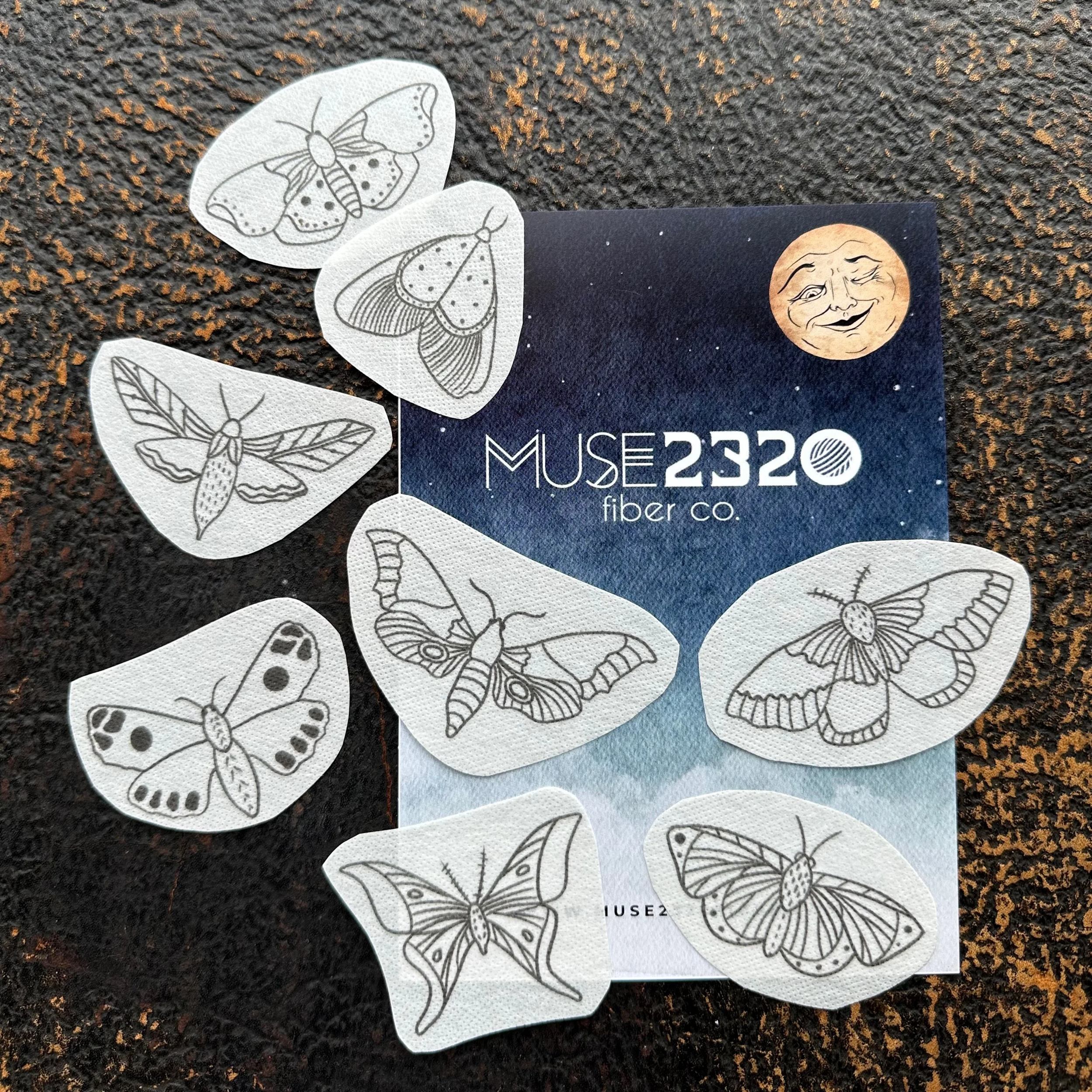 moth collection.png