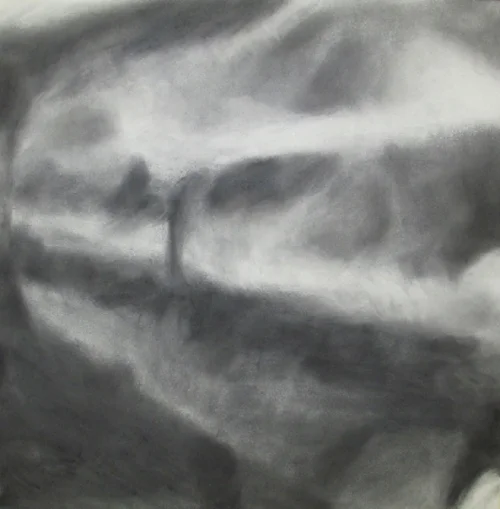 Flex (2014)