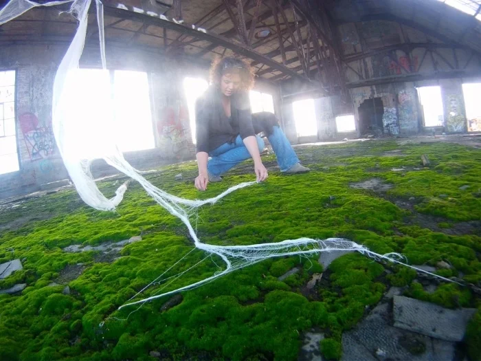 Moss Install.jpg