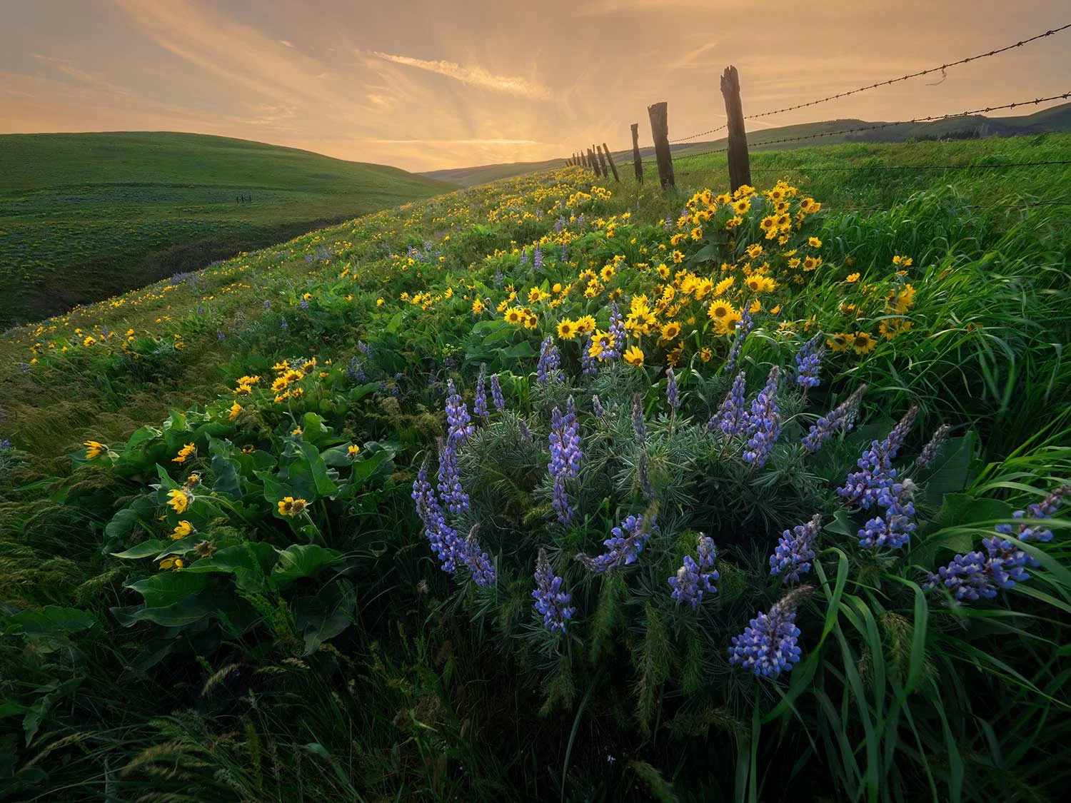 Columbia Hills State Park, Washington
