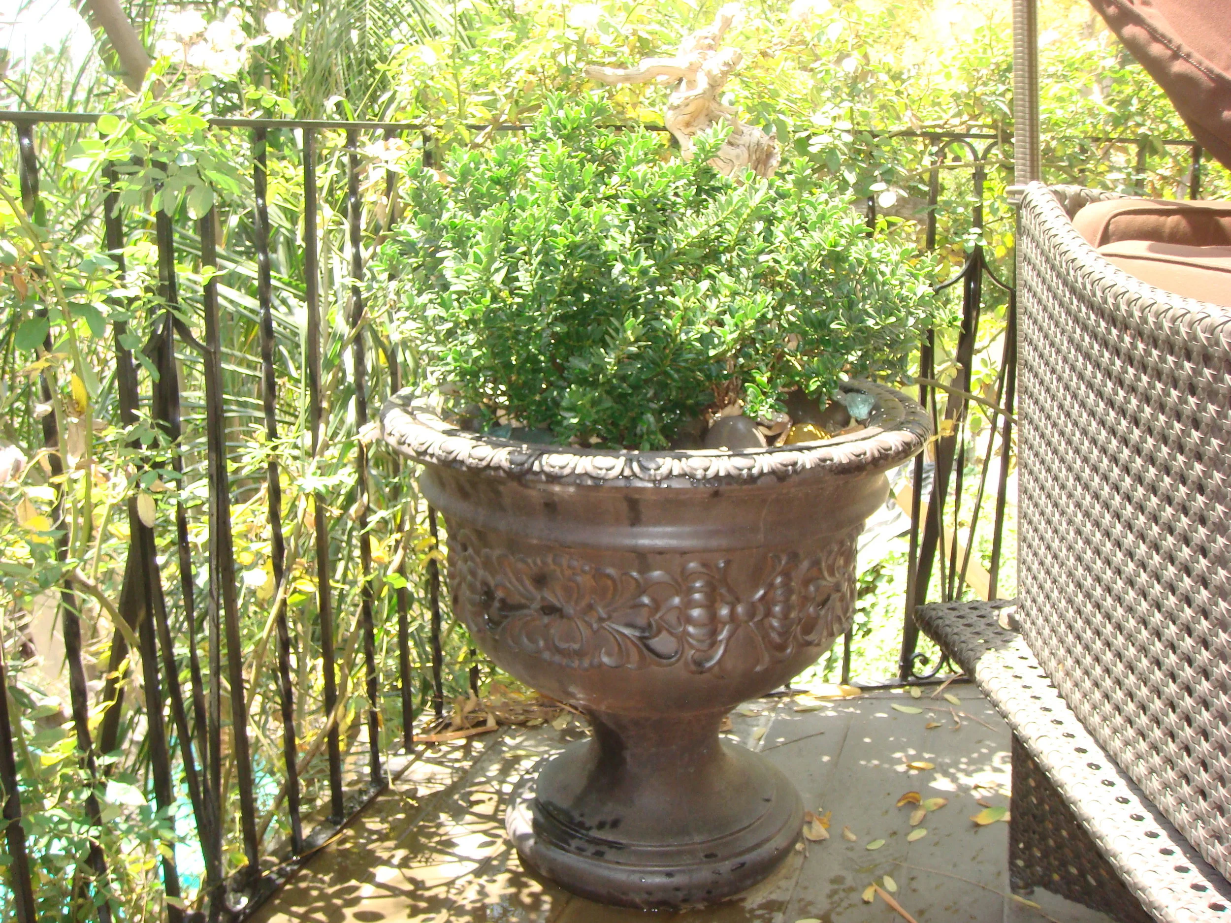 DSC02475.JPG
