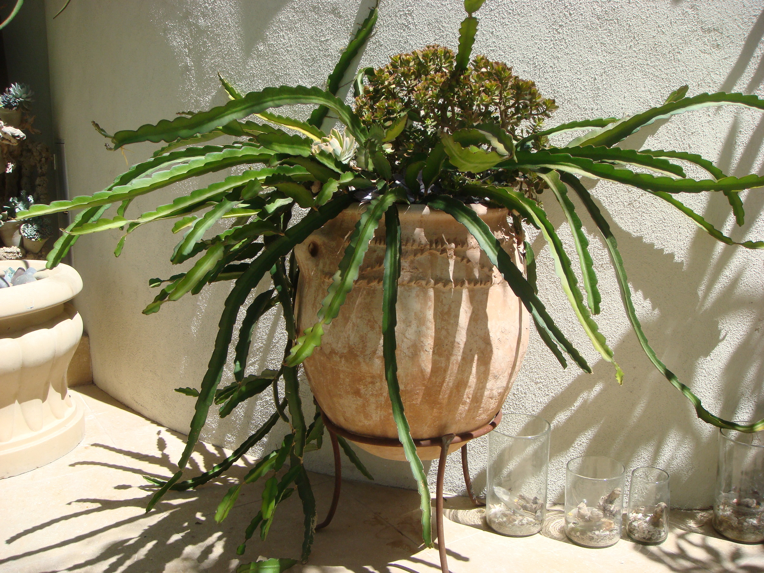 DSC03114.JPG