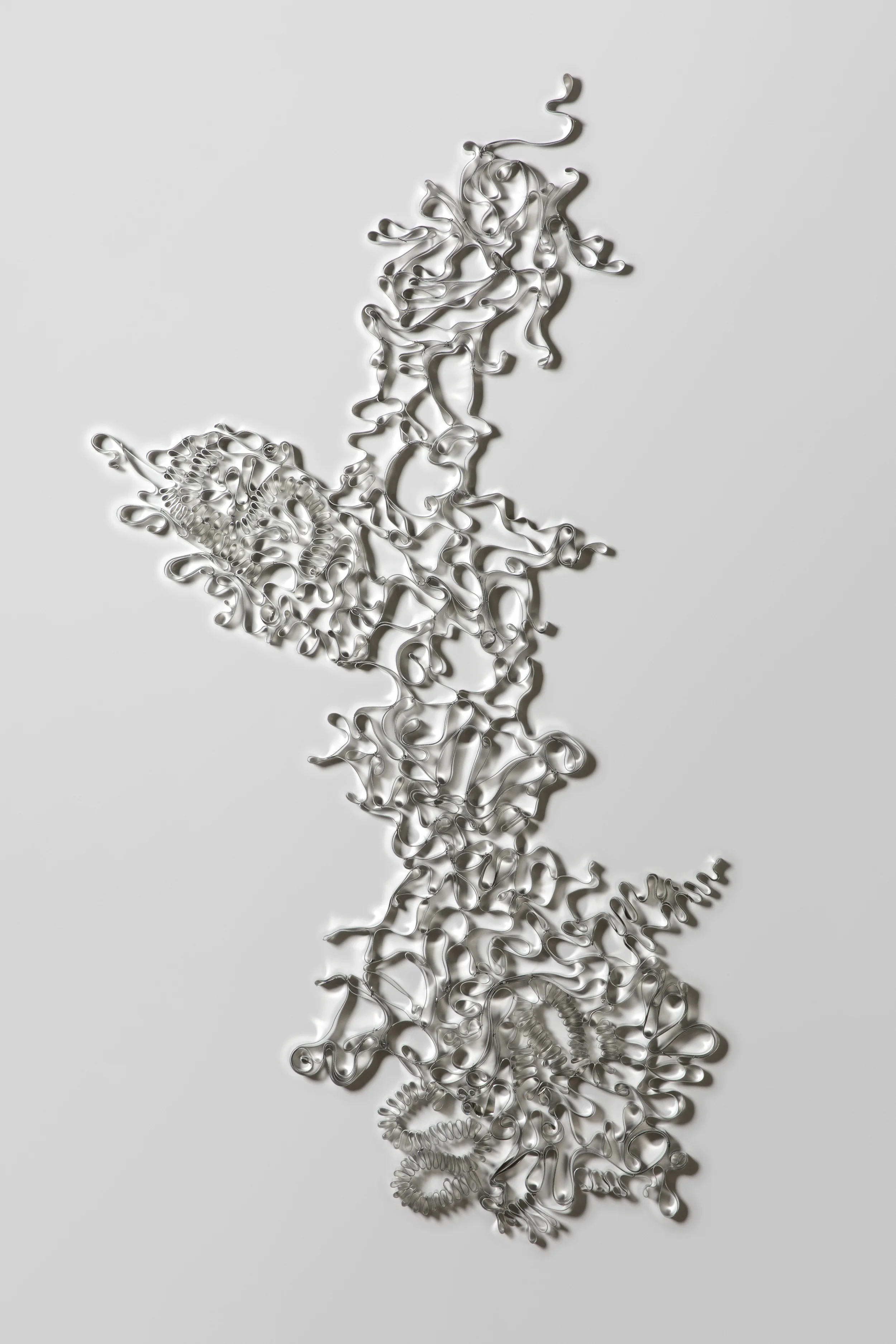 Habeo 30" x 52"