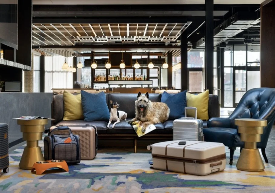 Hilton Pet-Friendly