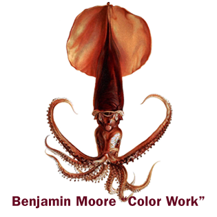BM_Color.png
