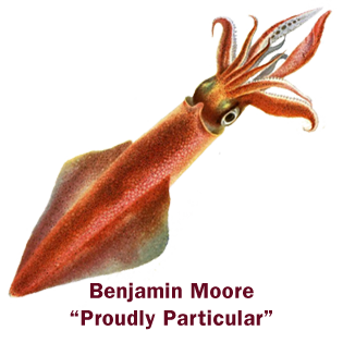 BM_Particular.png