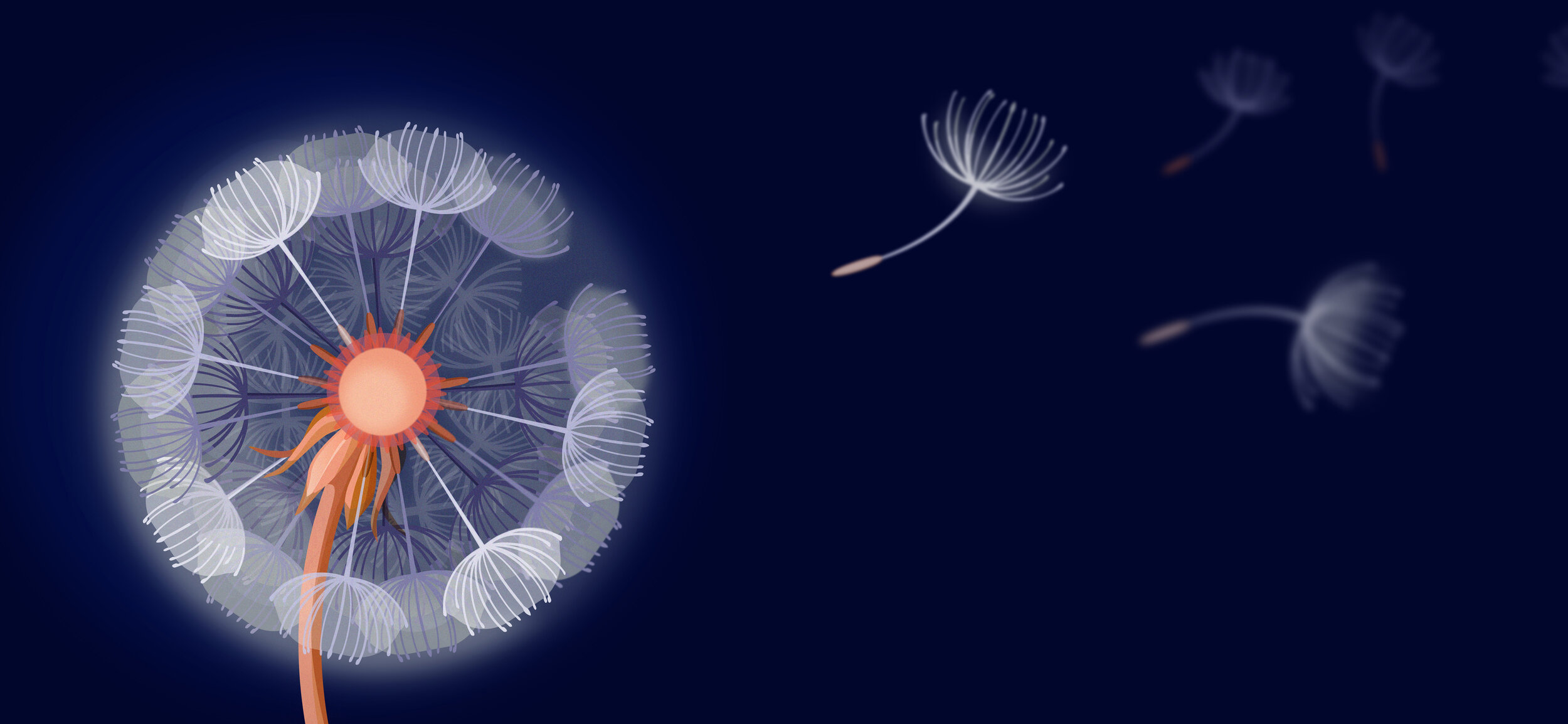 Allygroup illustrations v2-careers.jpg