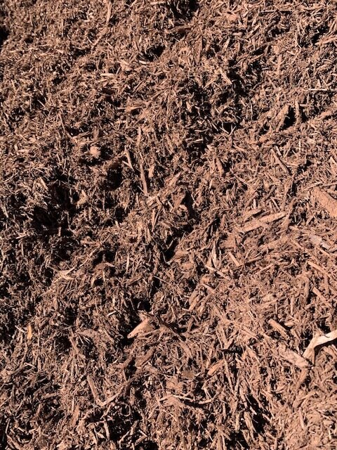 Cherry Brown