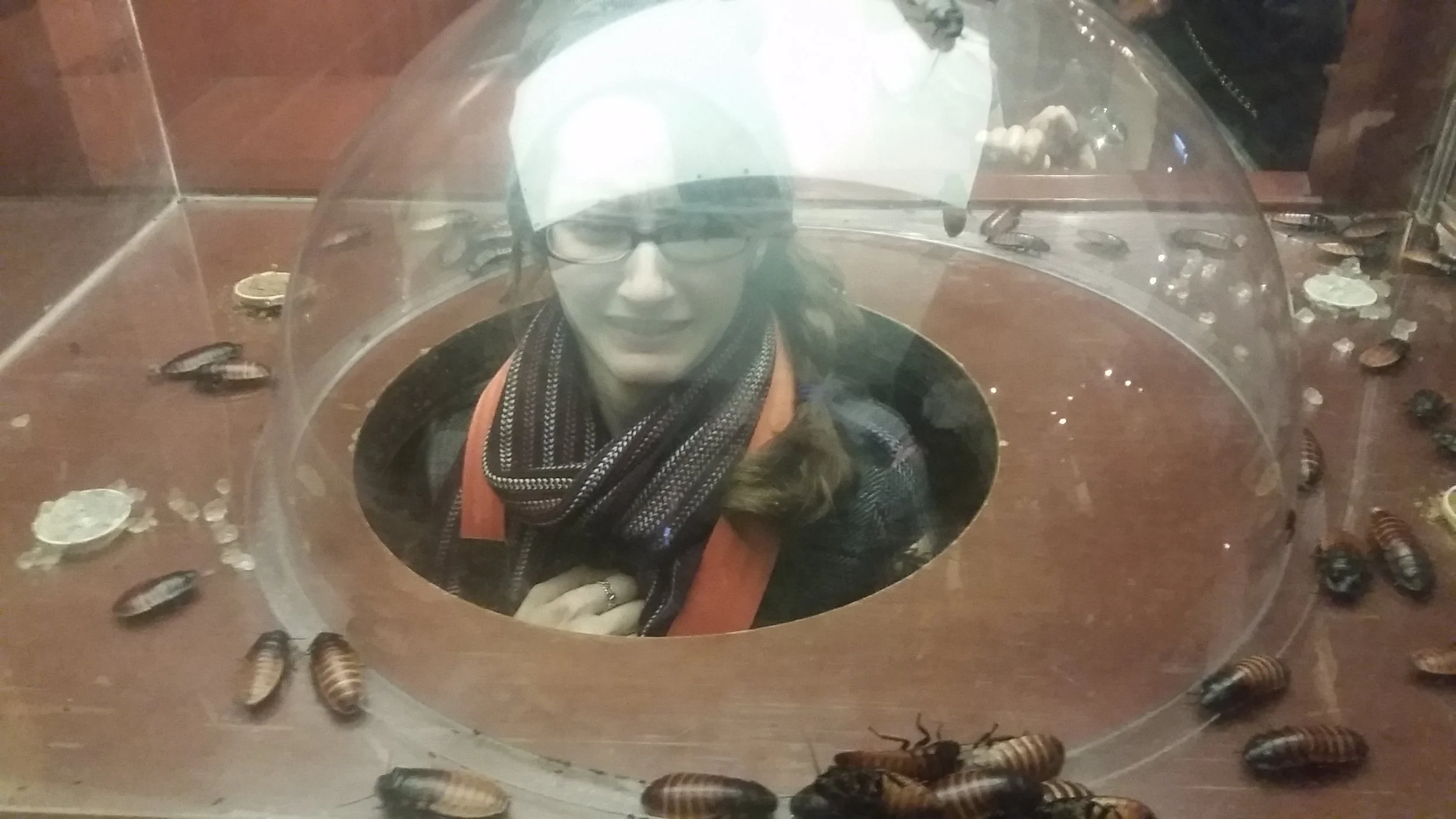 This was SO disgusting. Even though there was glass separating us and the bugs, it was not enough.