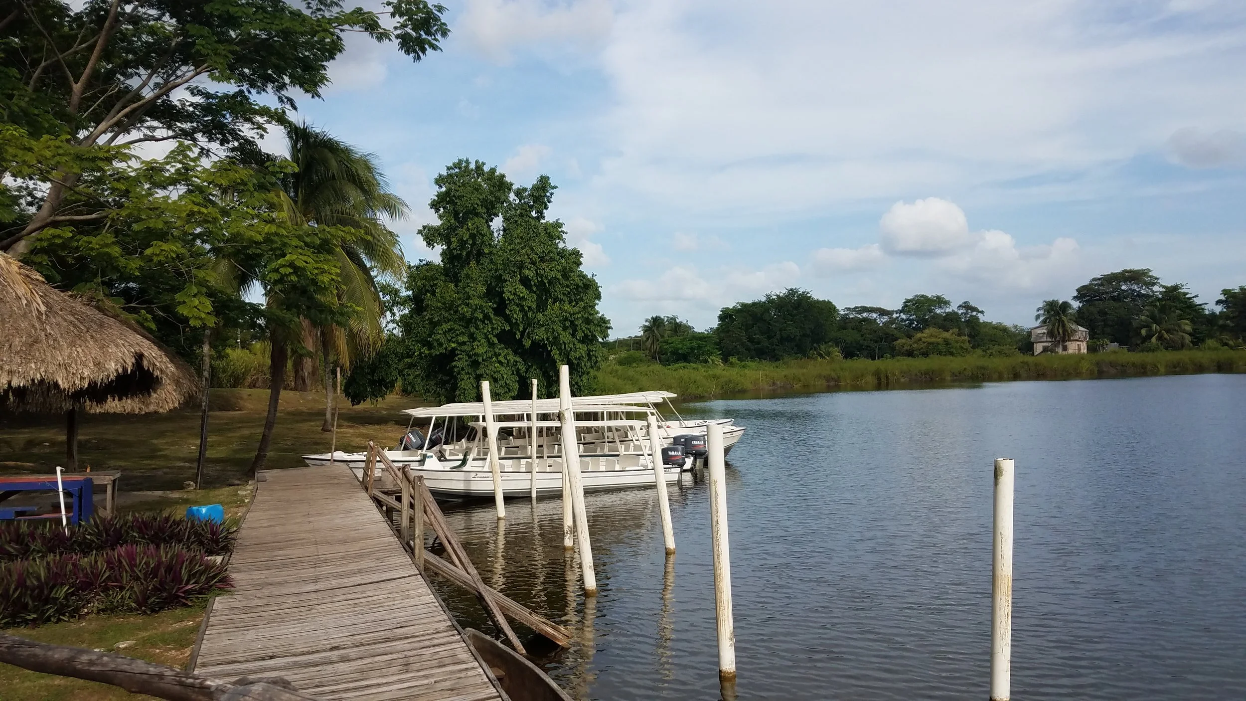 20170805_181242.jpg