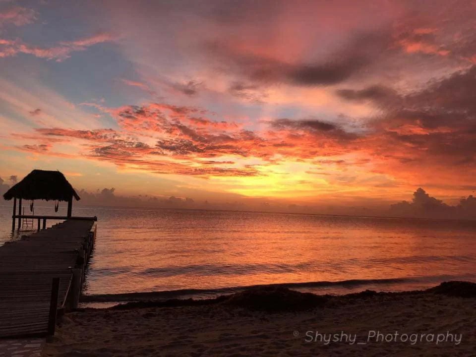 Photo by the amazing Sha Akhtar (IG: @shyshy_photography)