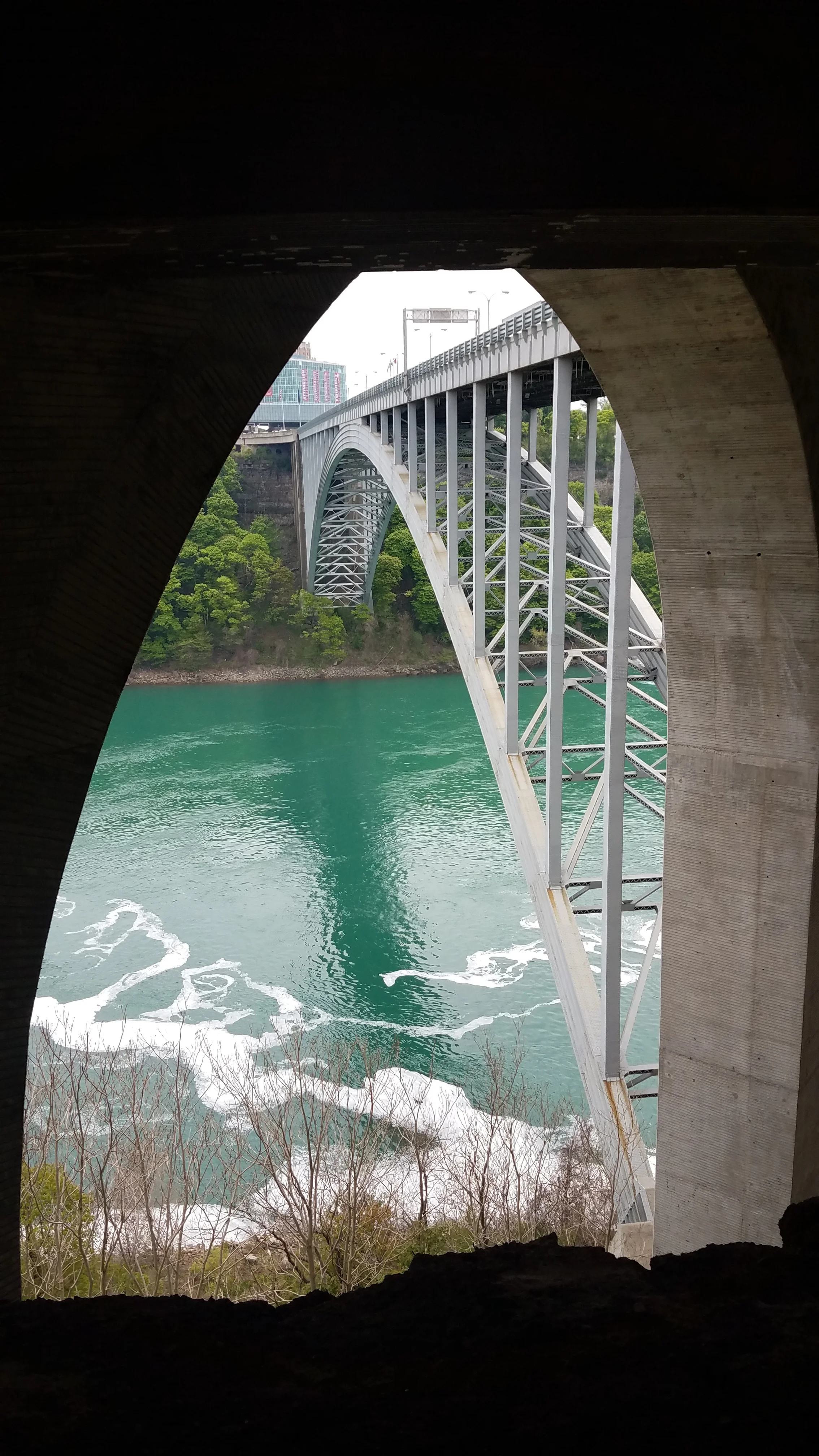 20180526_125611.jpg