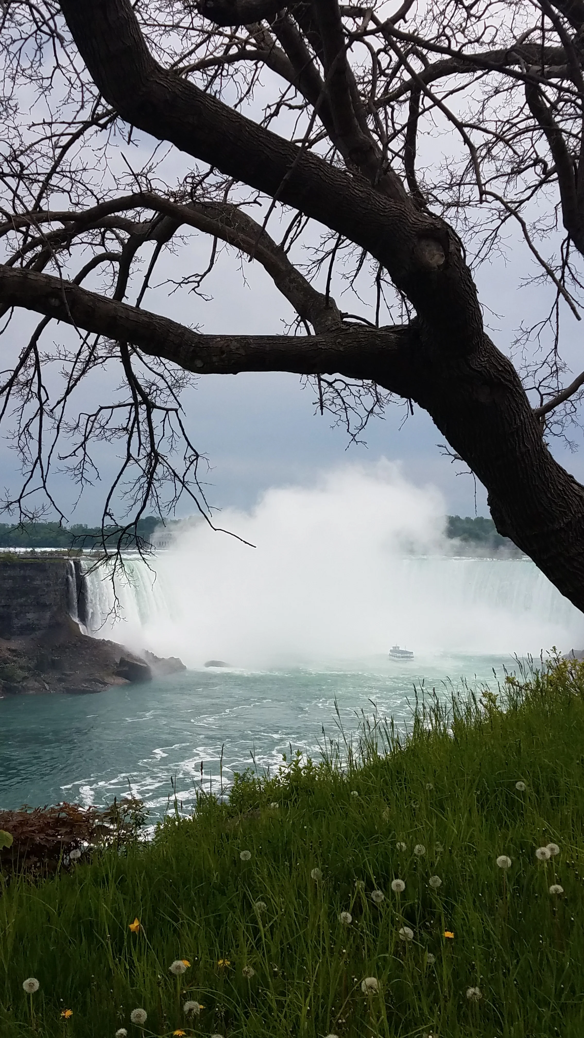 20180526_145257.jpg