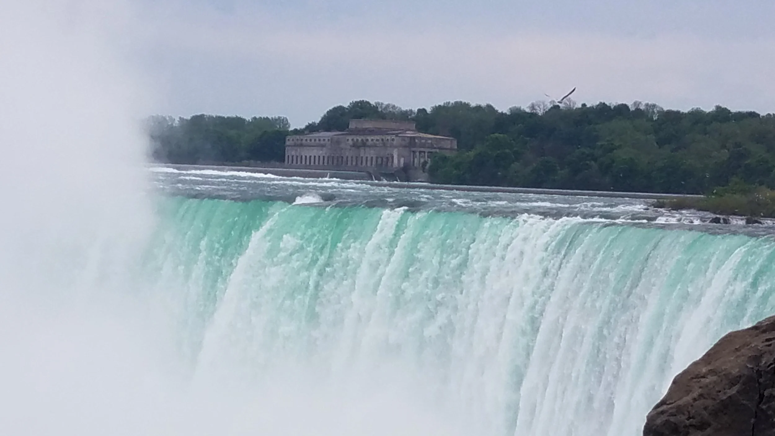 20180526_150822.jpg
