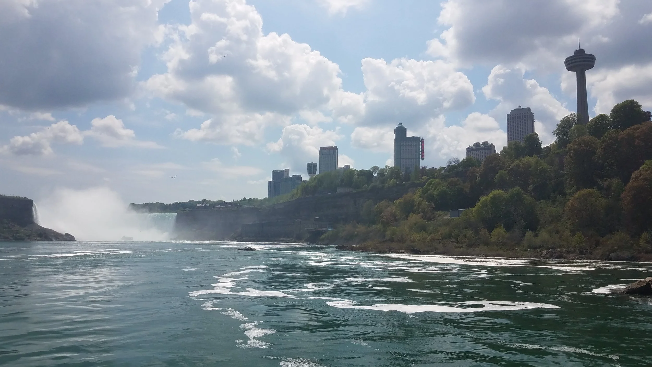 20180527_143956.jpg