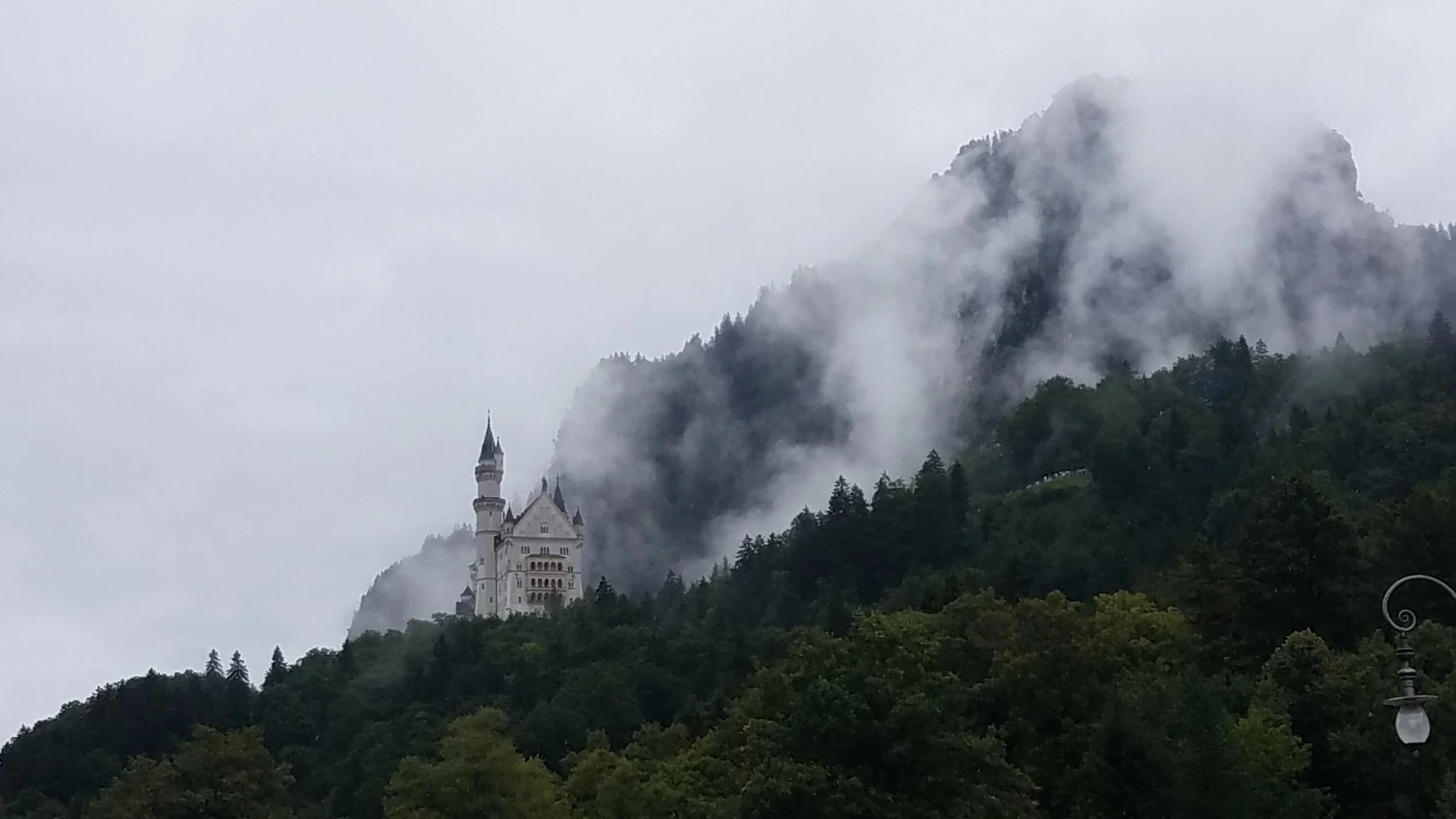 20180810_114650.jpg
