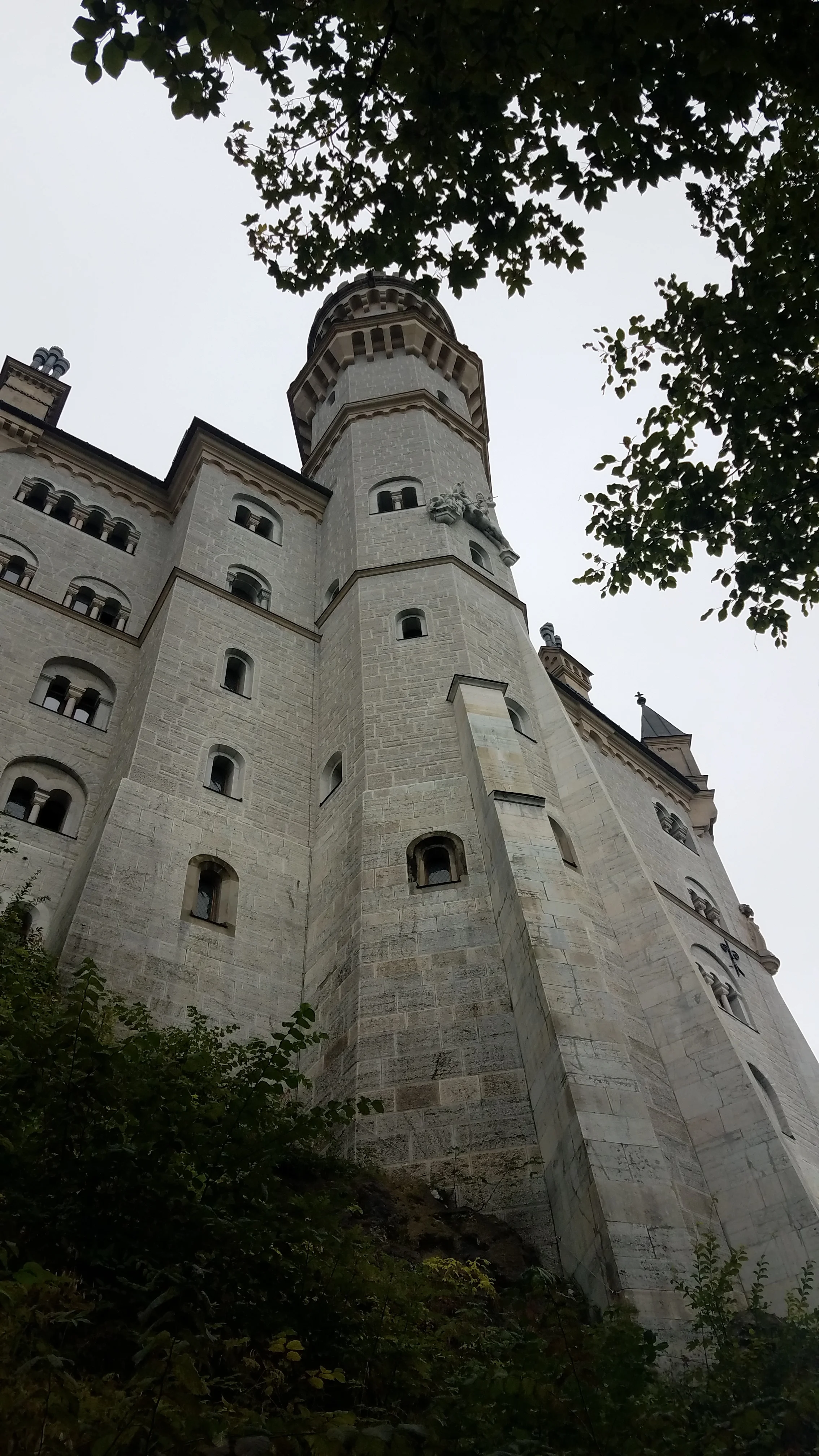 20180810_122559.jpg