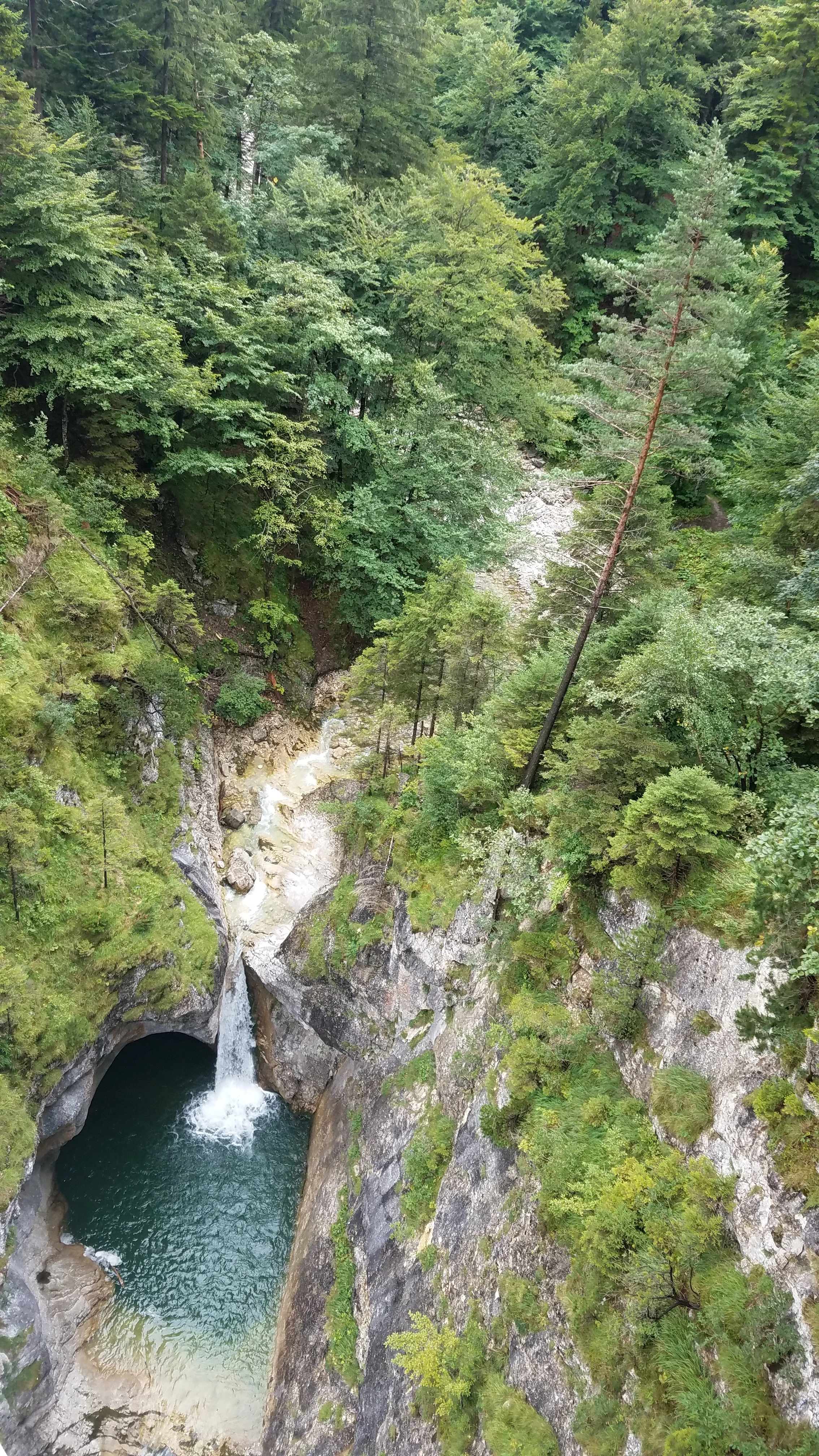 20180810_124635.jpg