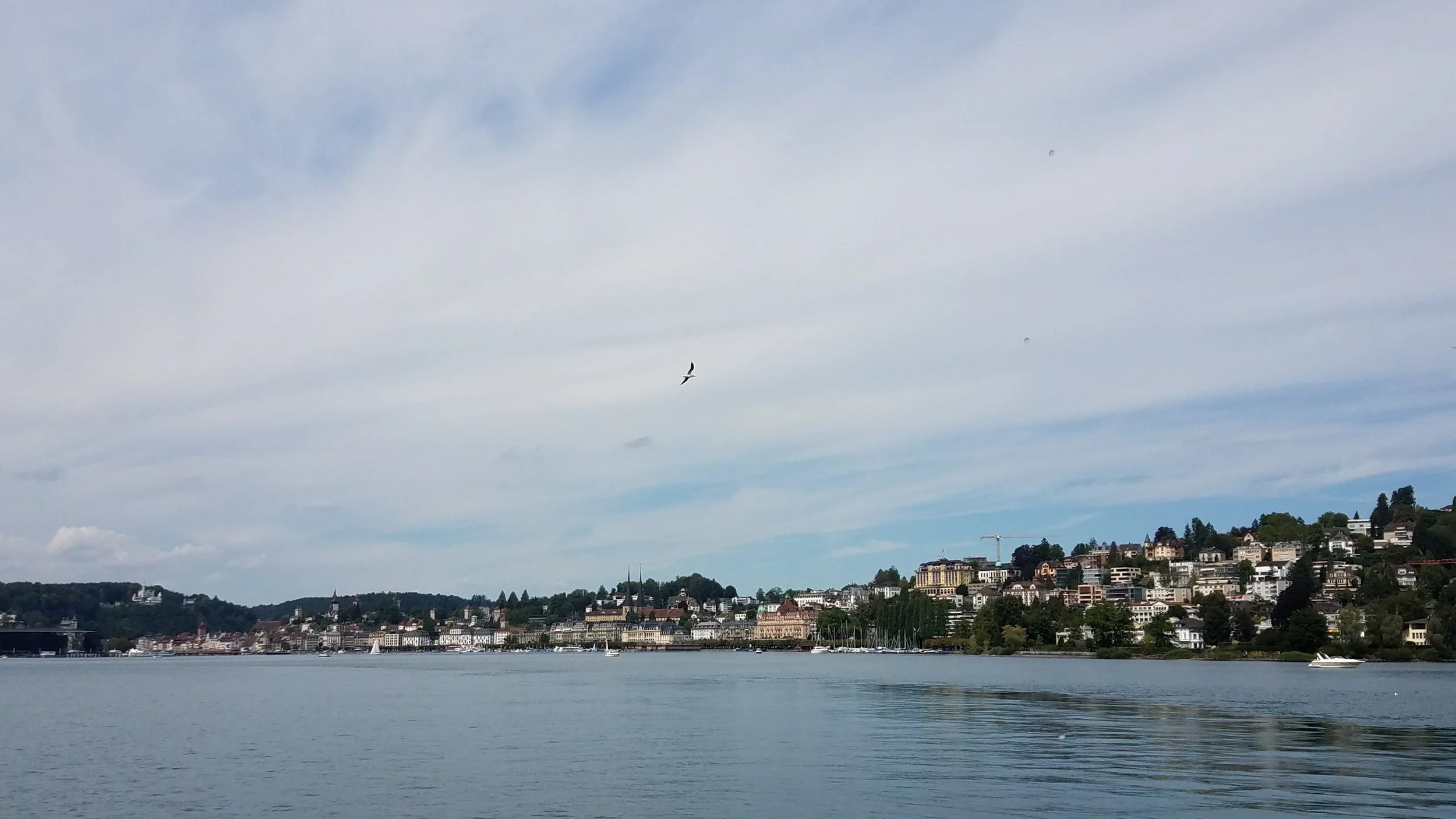 20180811_122240.jpg