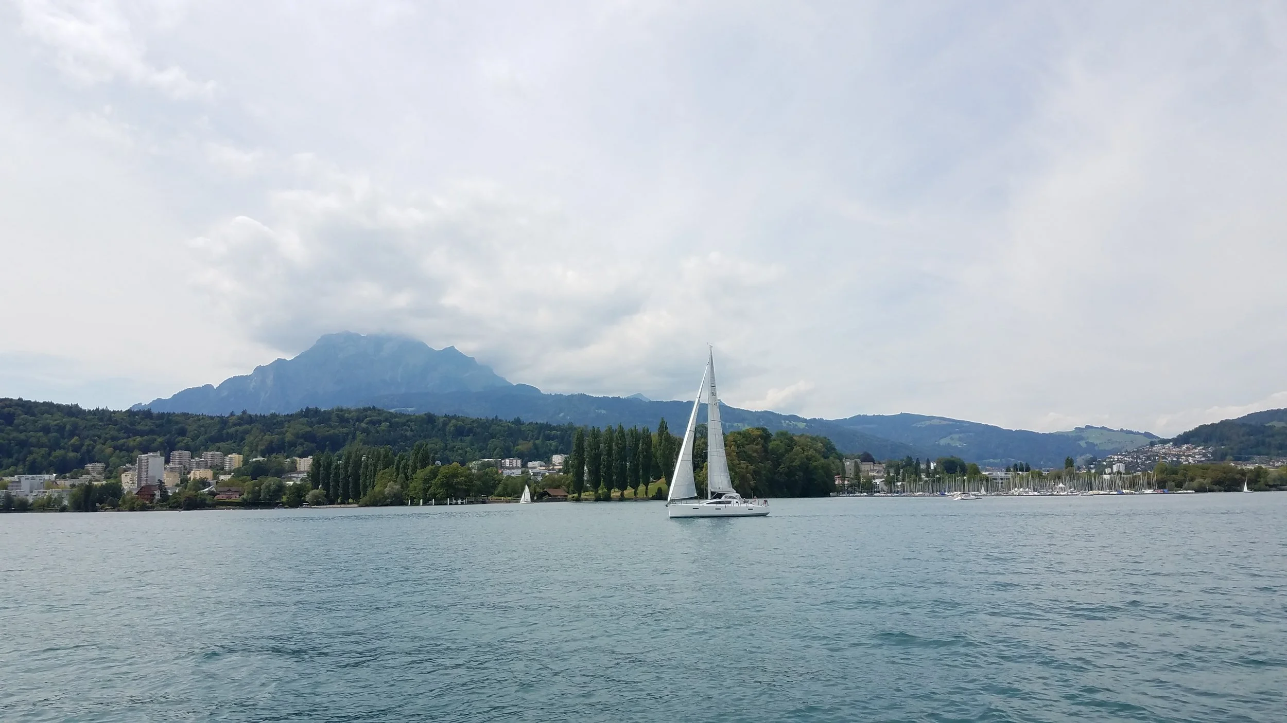 20180811_122723.jpg