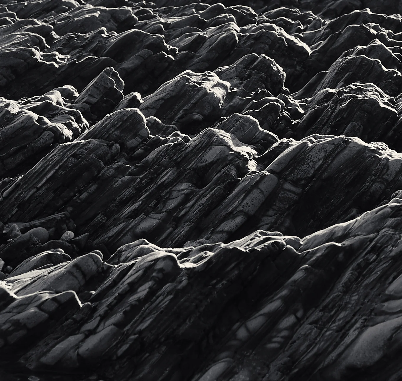 _D7P9733.jpg