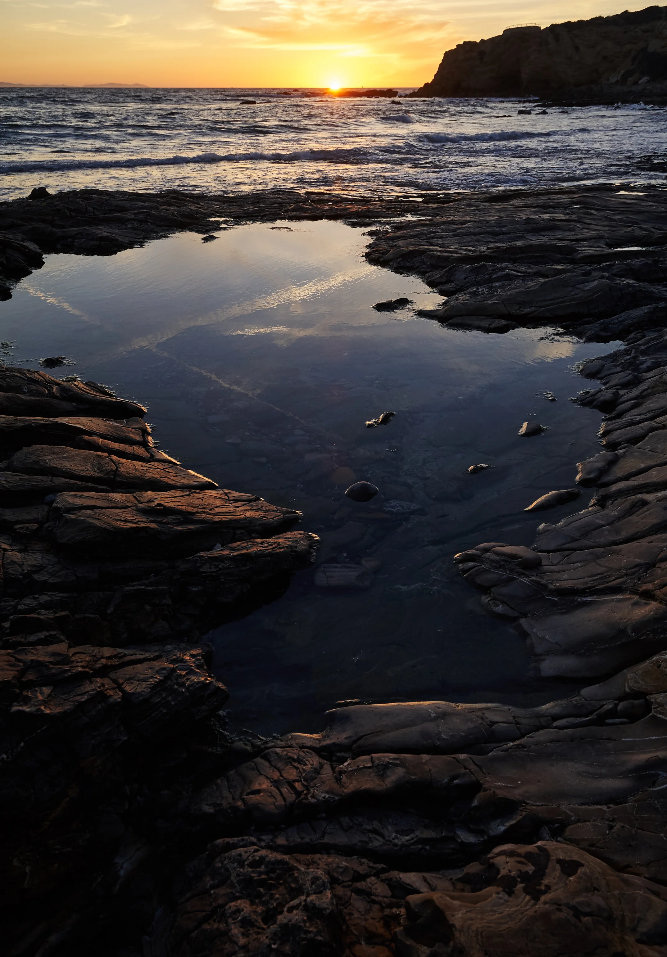 _D7P9901.jpg
