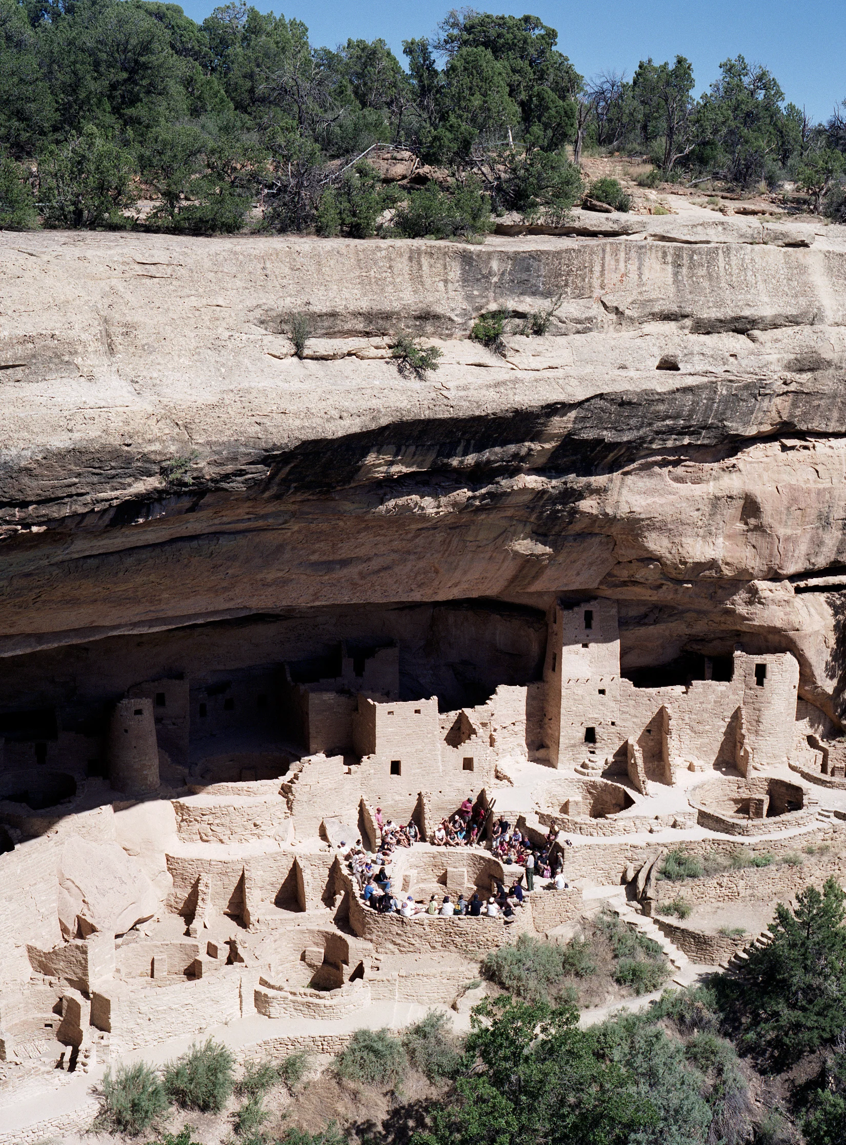 Mesa Verde_Circle.jpg