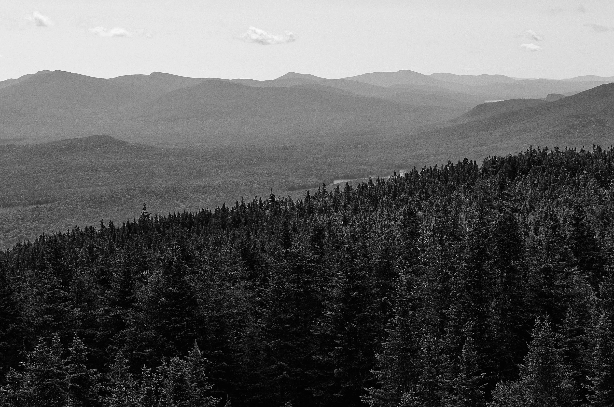 _D7P1070.jpg