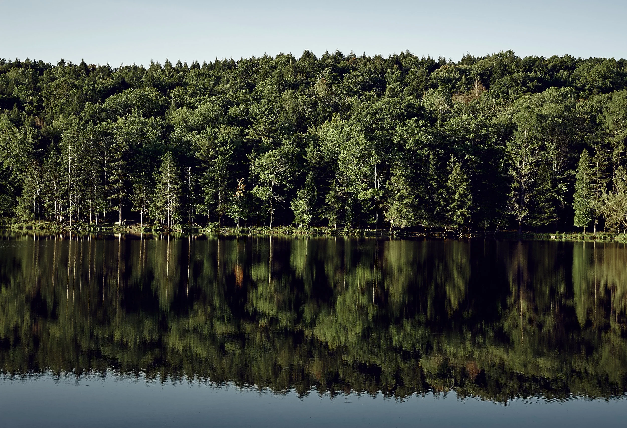 _D7P1038 1.jpg