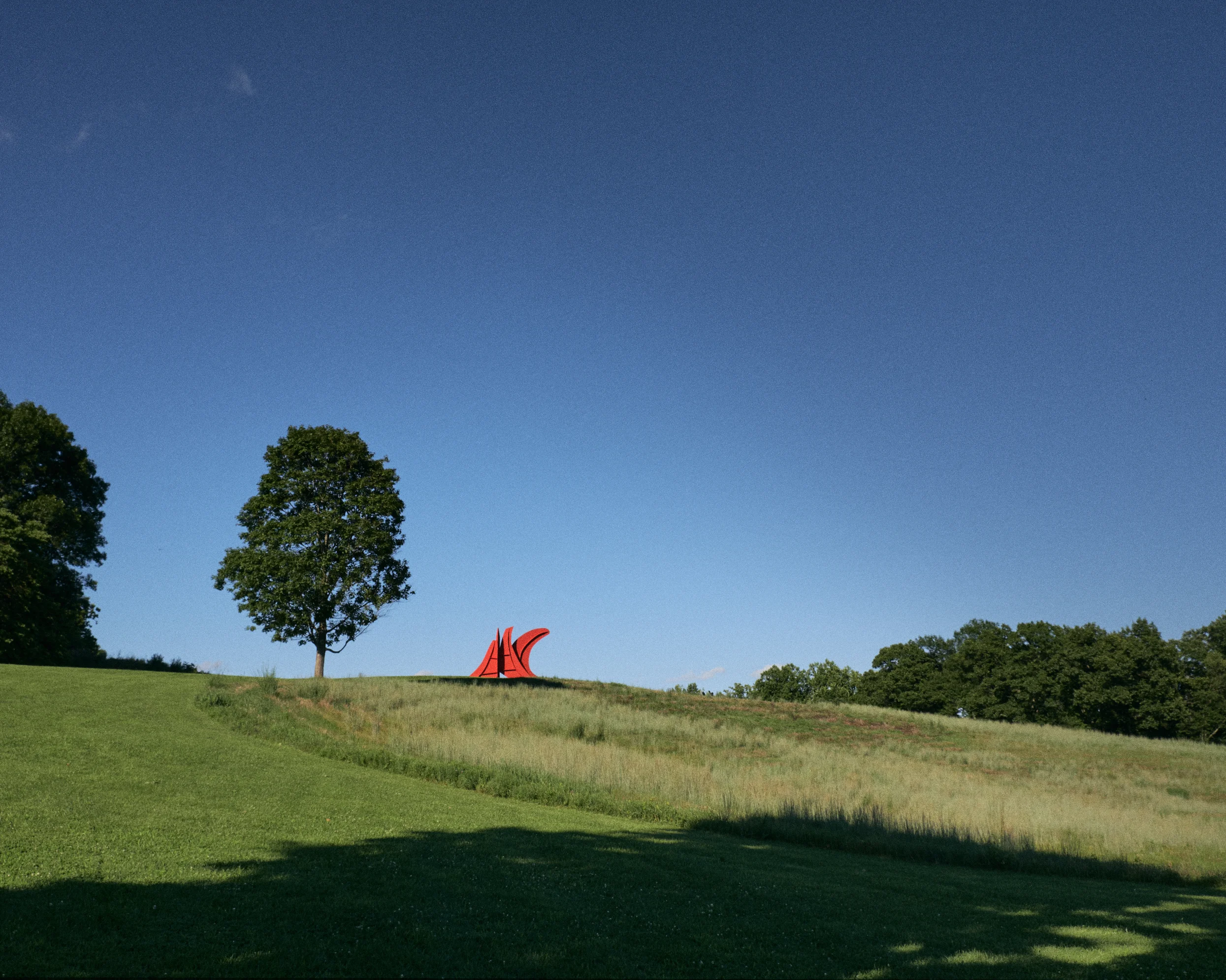 20180804_DSF4552.jpg