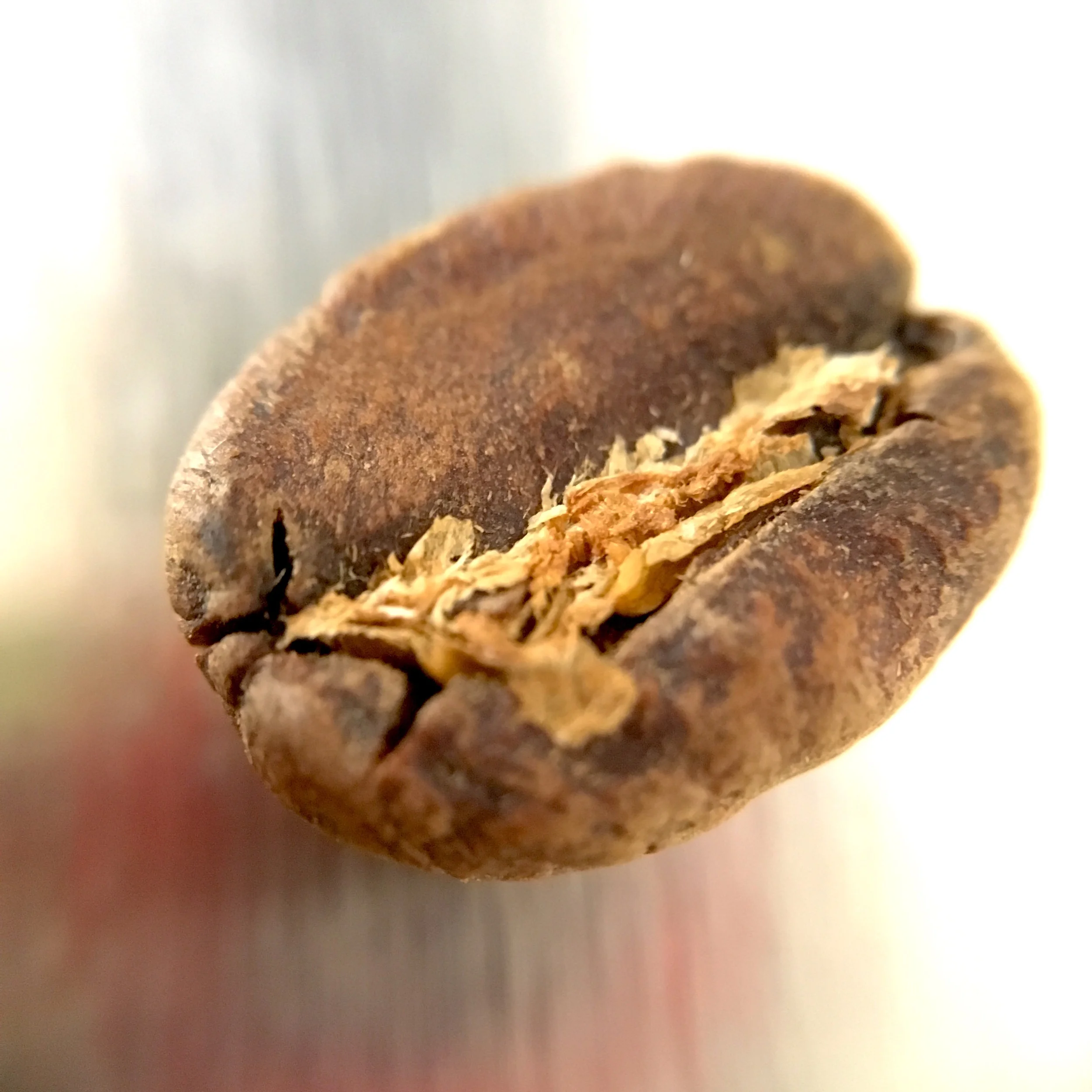 Mast Coffee Co. Kenya Ngunguru Bean