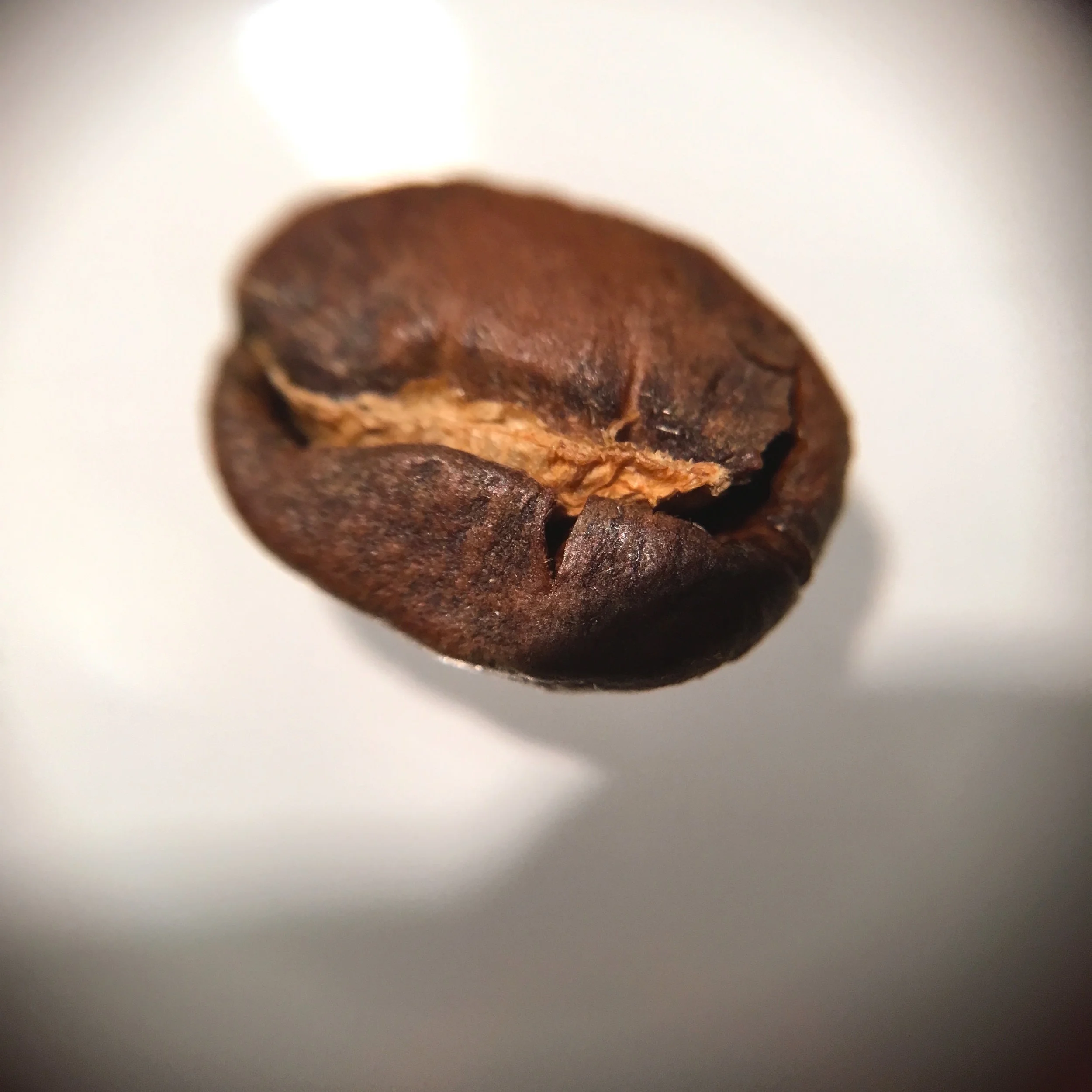 Rwanda Hingakawa single bean
