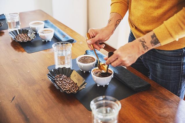 It’s an honor to be supported by such an awesome company and to have the chance to contribute for them! Check out their latest article. Let’s talk cupping 💫☕️ Link to the article is in my bio ⚡️
📸: @fellowproducts