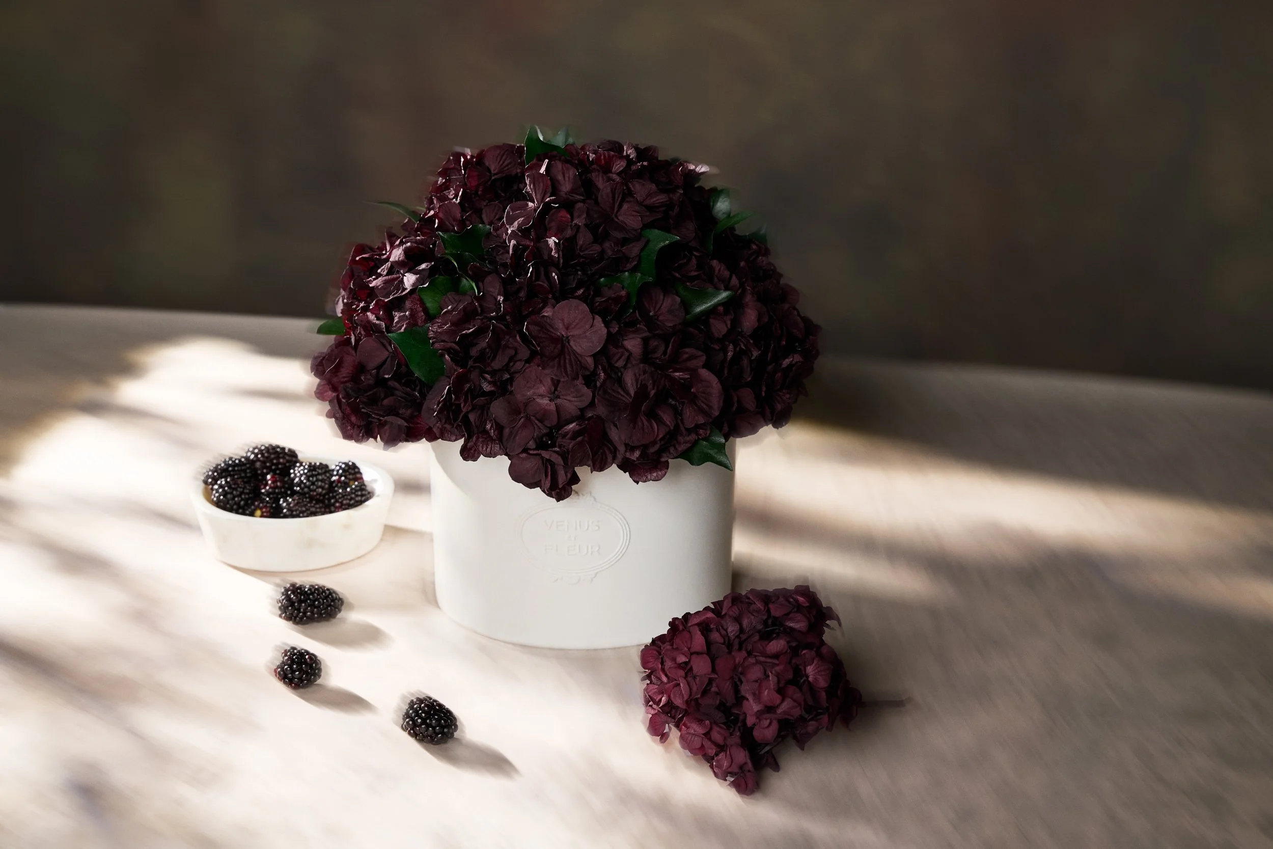 Blackberry Hydrengea Solo Thalia_010_WEB.jpg