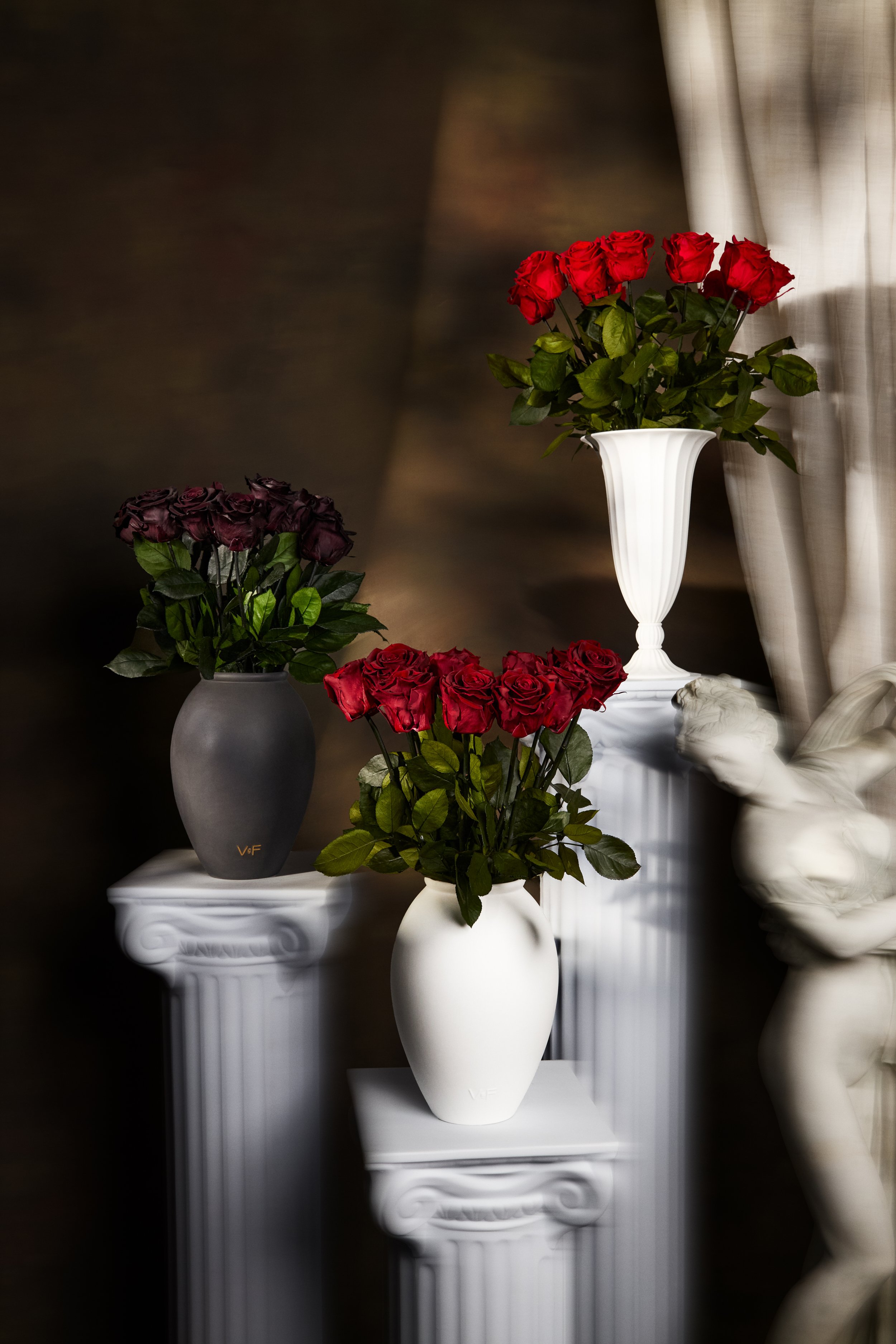 Long Stem Dynamic Shot_077_WEB.jpg