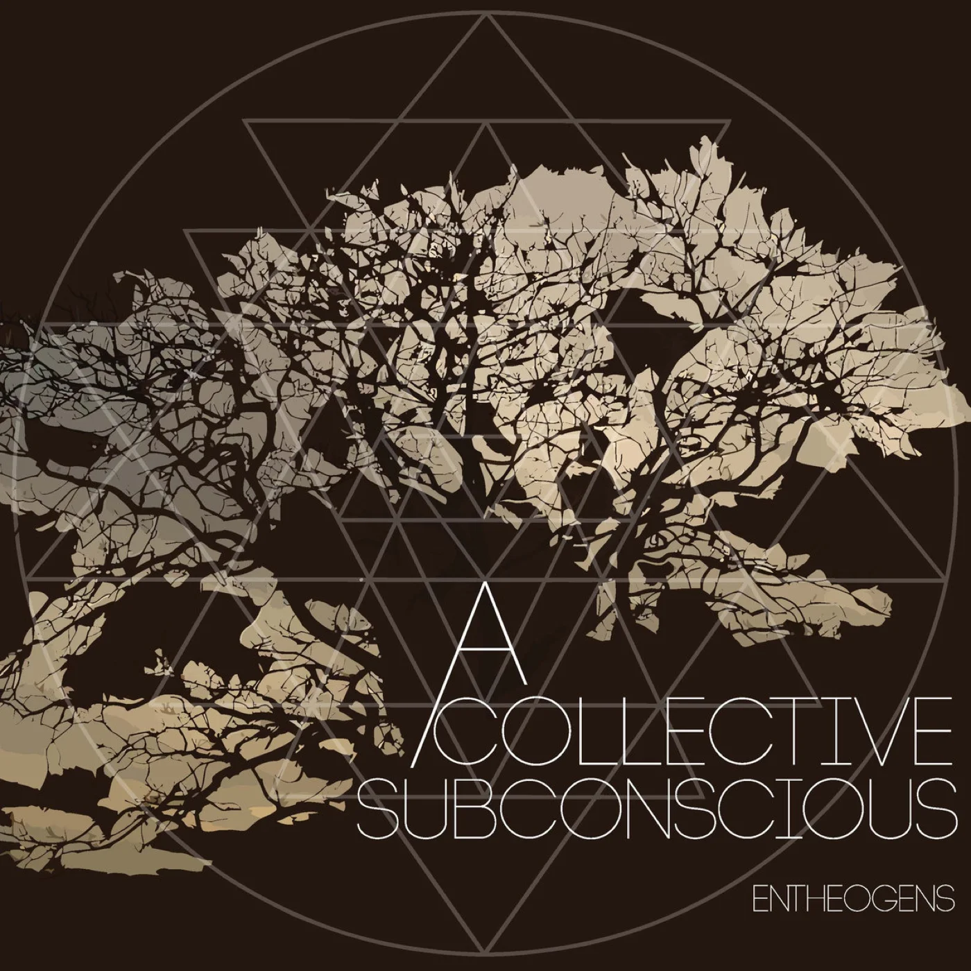 Entheogens album cover .jpg