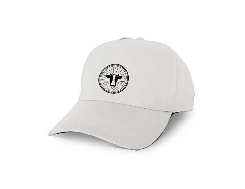 concept1Hat.png